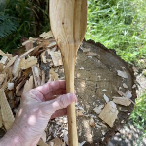 Cooking Spoon Bunya Pine