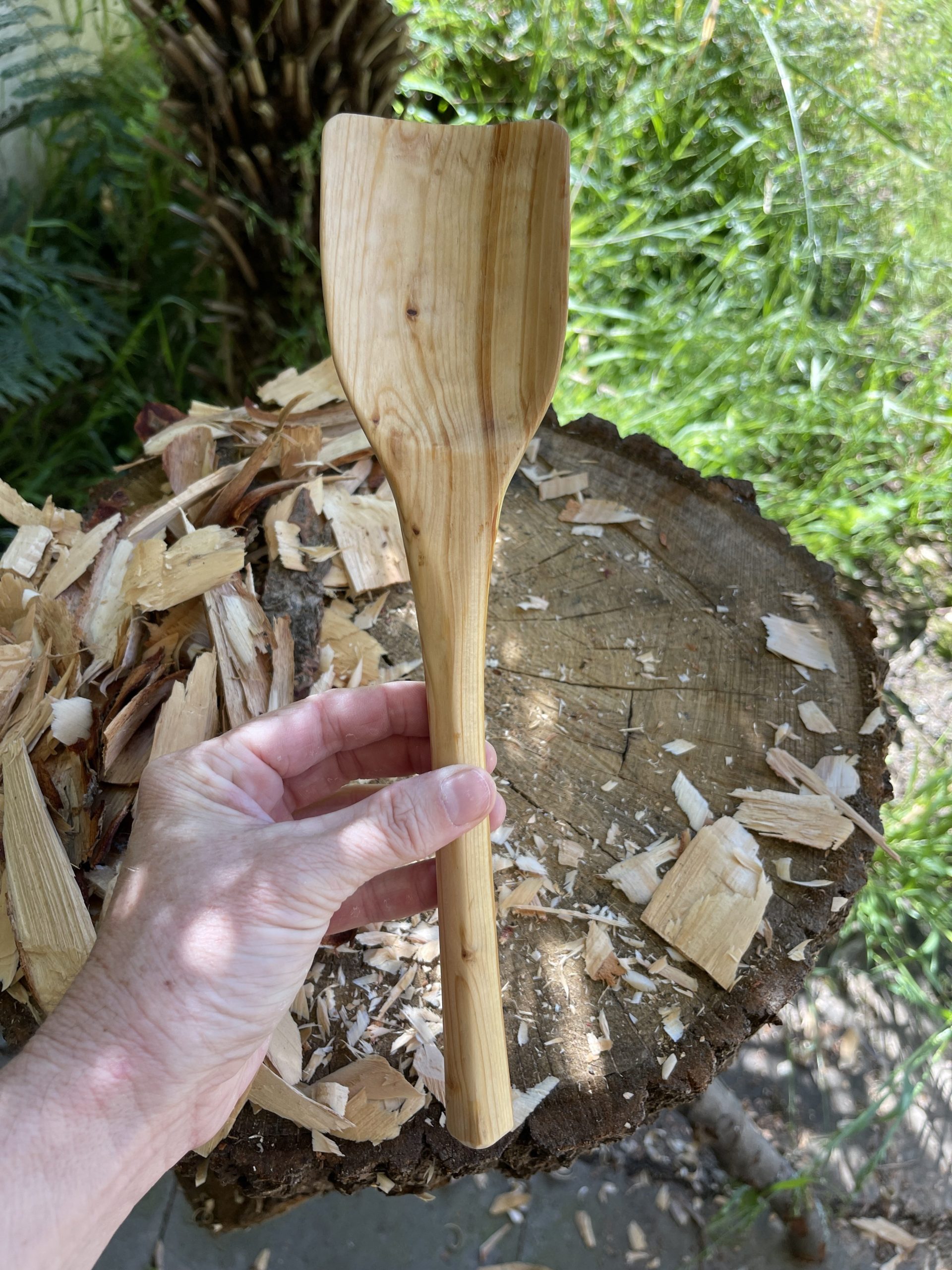 Cooking Spoon Bunya Pine