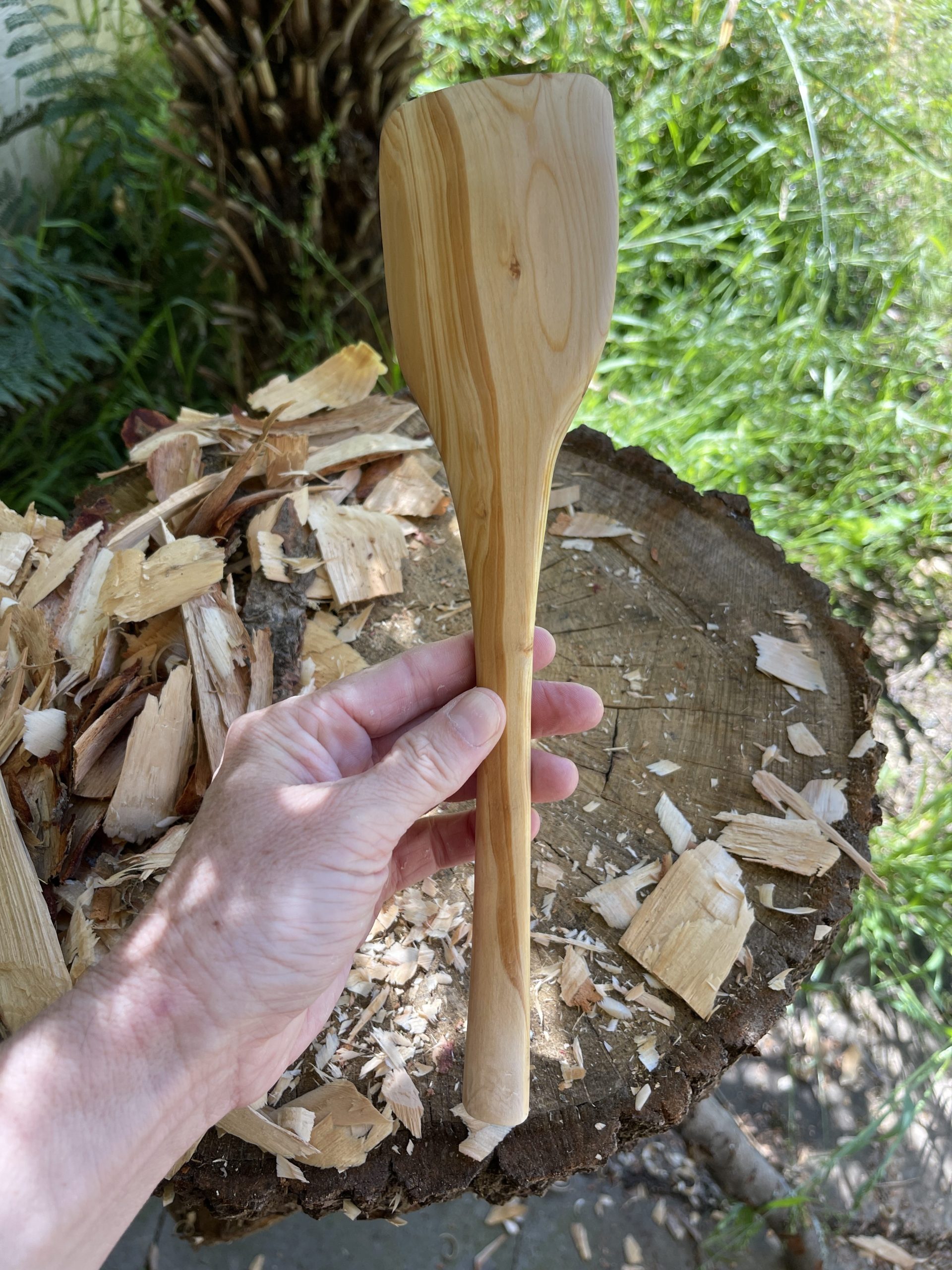 Cooking Spoon Bunya Pine - Image 2