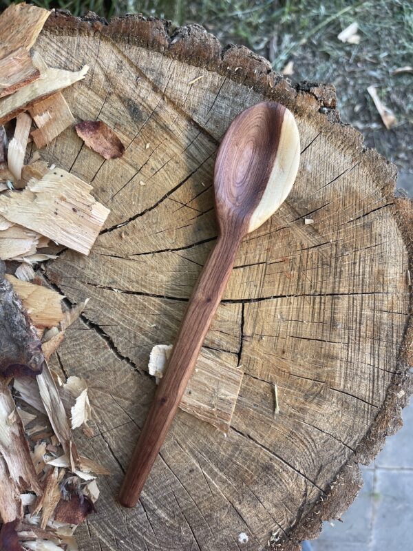 Elm Eating Spoon