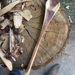 Elm cooking spoon