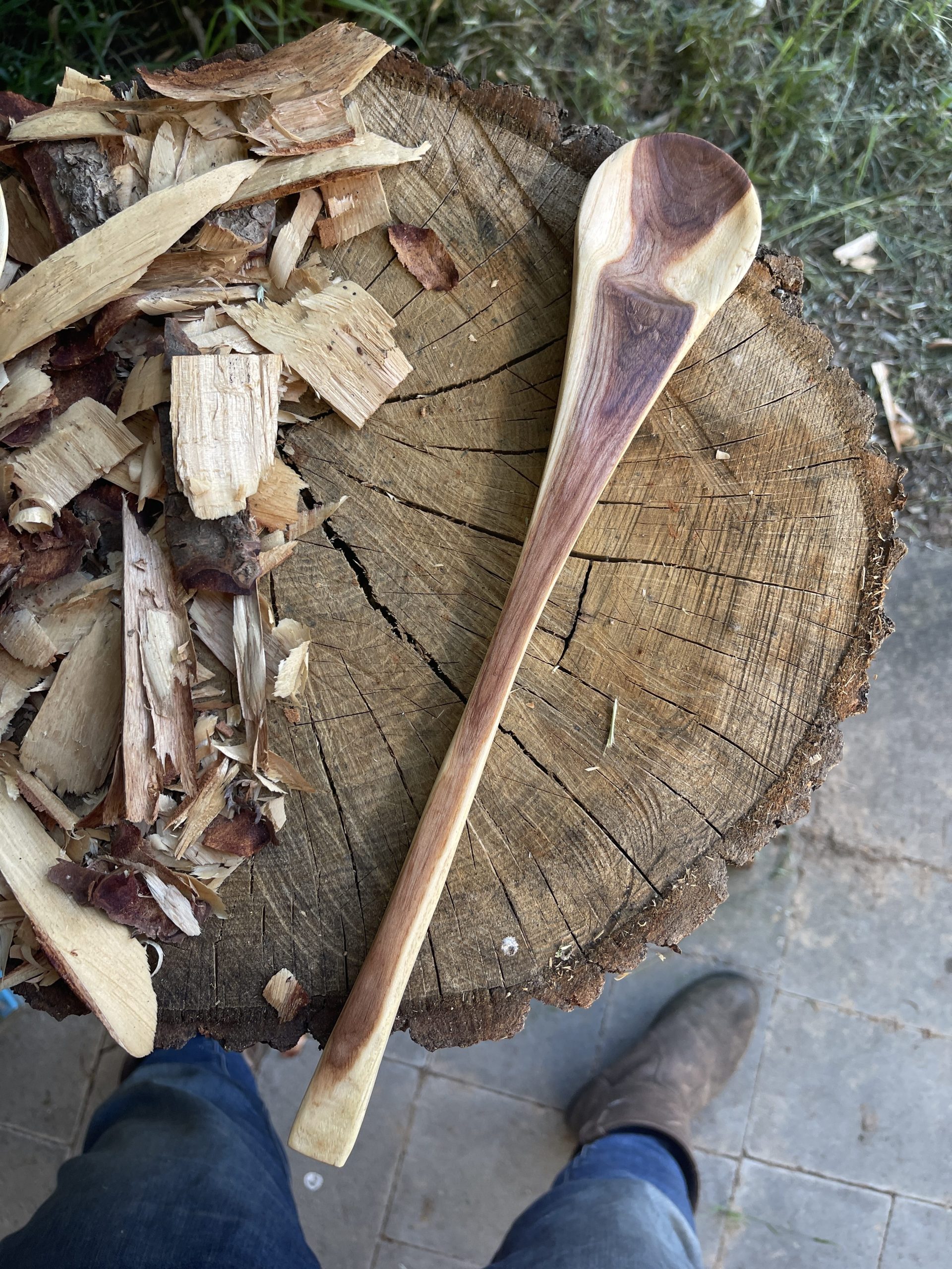 Elm cooking spoon
