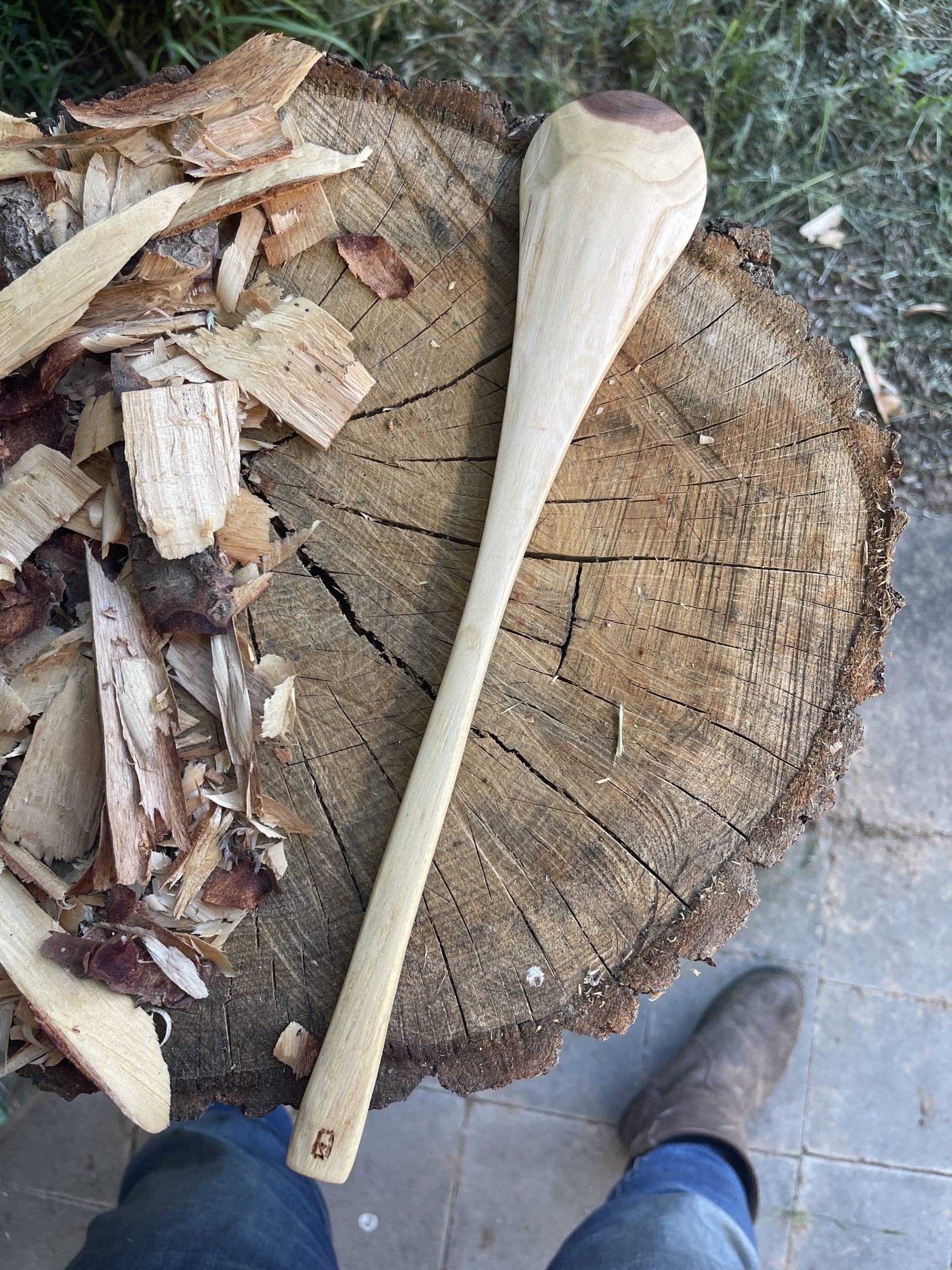 Elm cooking spoon - Image 2