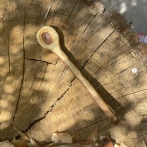 Elm 1/4 Teaspoon