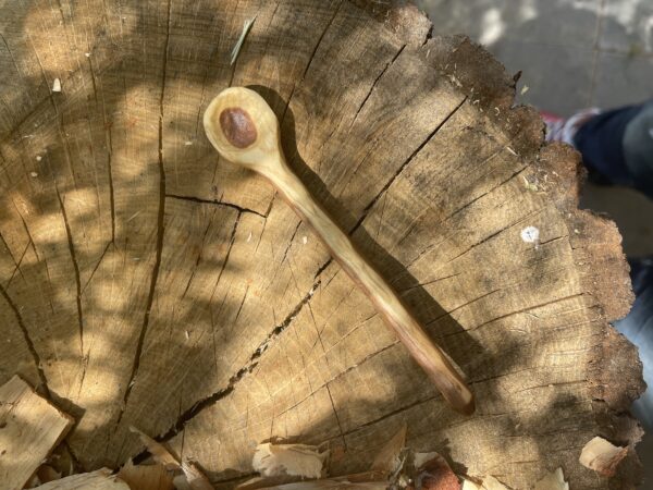 Elm 1/4 Teaspoon