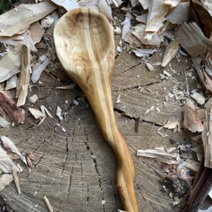 Bunya Pine Cooking Spoon with Curved Handle