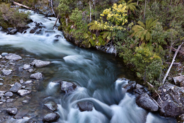 Kiewa East River Fine Art Card