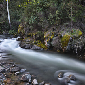 Kiewa East River II Fine Art Card
