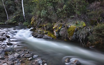 Kiewa East River II Fine Art Card