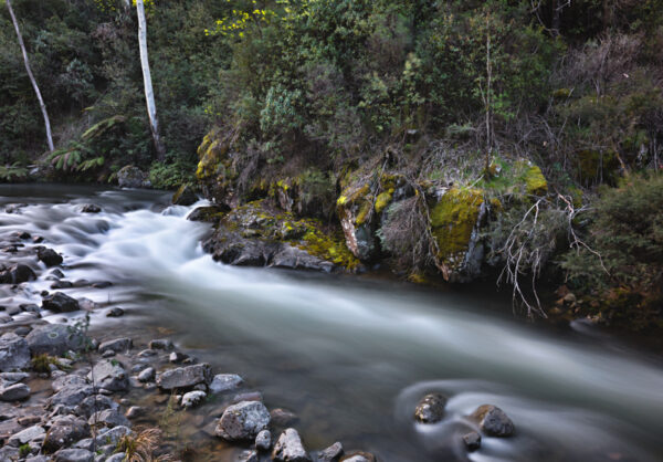 Kiewa East River II Fine Art Card