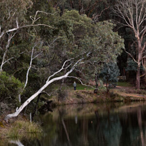 Lake Kerferd Reflections Fine Art Card