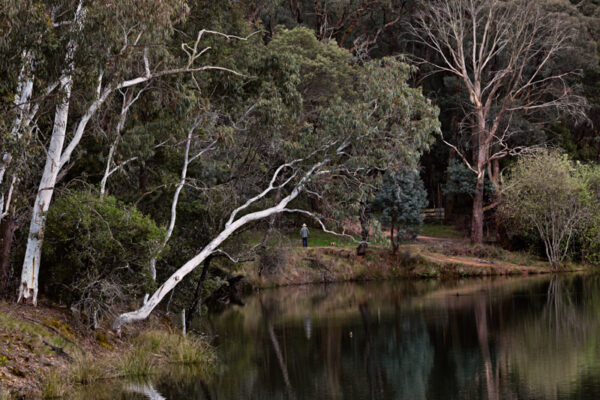 Lake Kerferd Reflections Fine Art Card