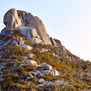 The Cathedral, Mt Buffalo Fine Art Card