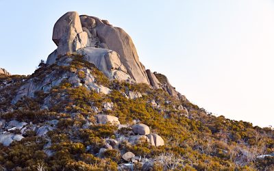 The Cathedral, Mt Buffalo Fine Art Card