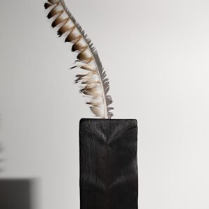 shou sugi ban dry bud vase with lyre bird tail feather on plain background