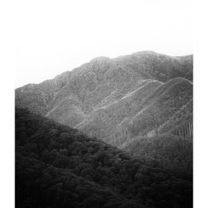 'Bogong' Fine Art Photographic Print A2