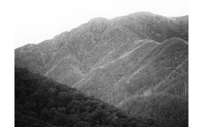 ‘Bogong’ Fine Art Photographic Print A2