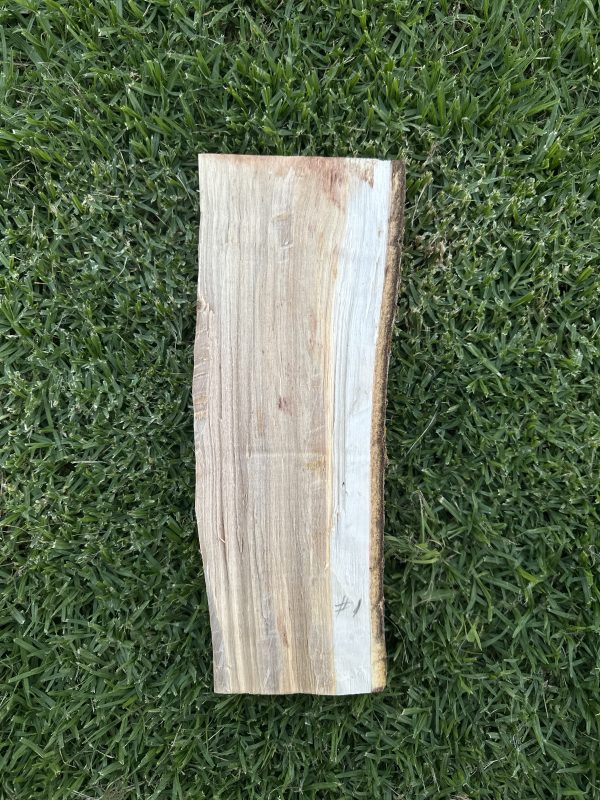 Greenwood Billet- Silver Poplar #1