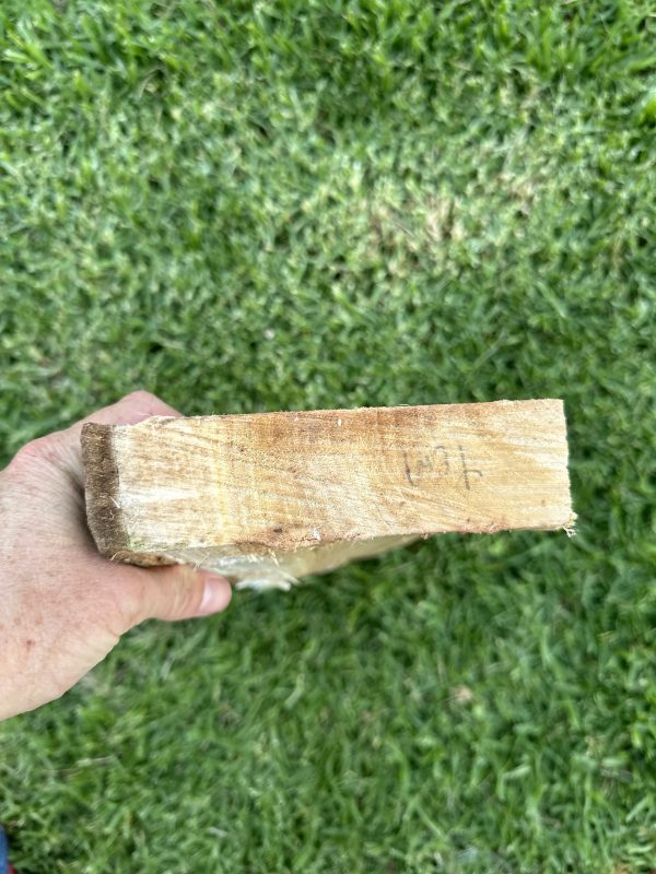 Greenwood Billet- Silver Poplar #1 - Image 3