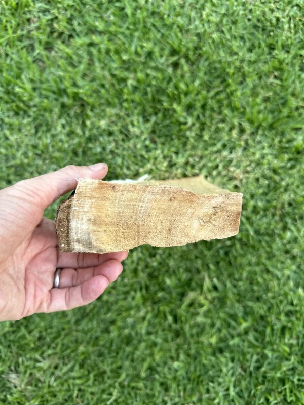 Greenwood Billet- Silver Poplar #1 - Image 4