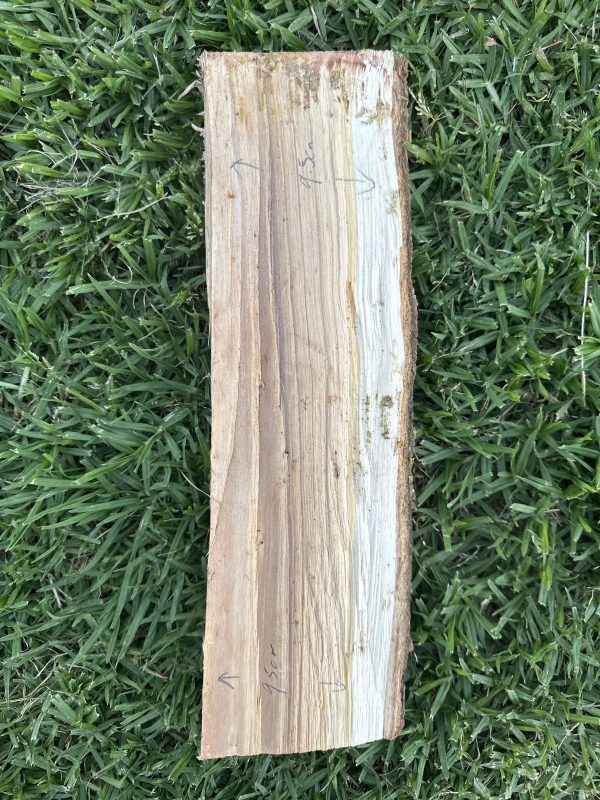 Greenwood Billet- Silver Poplar #3