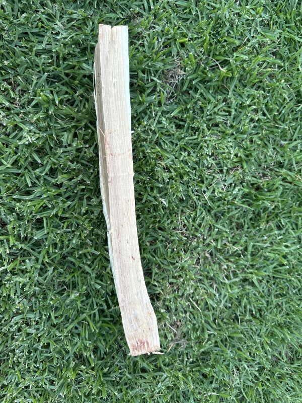 Greenwood Billet- Silver Poplar #3 - Image 4