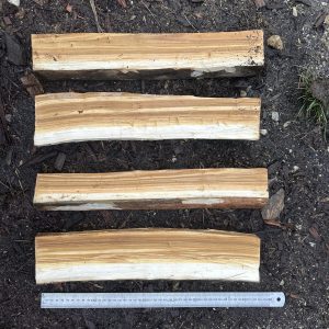 four greenwood cooking spoon billets laid out next to a 45cm ruler.