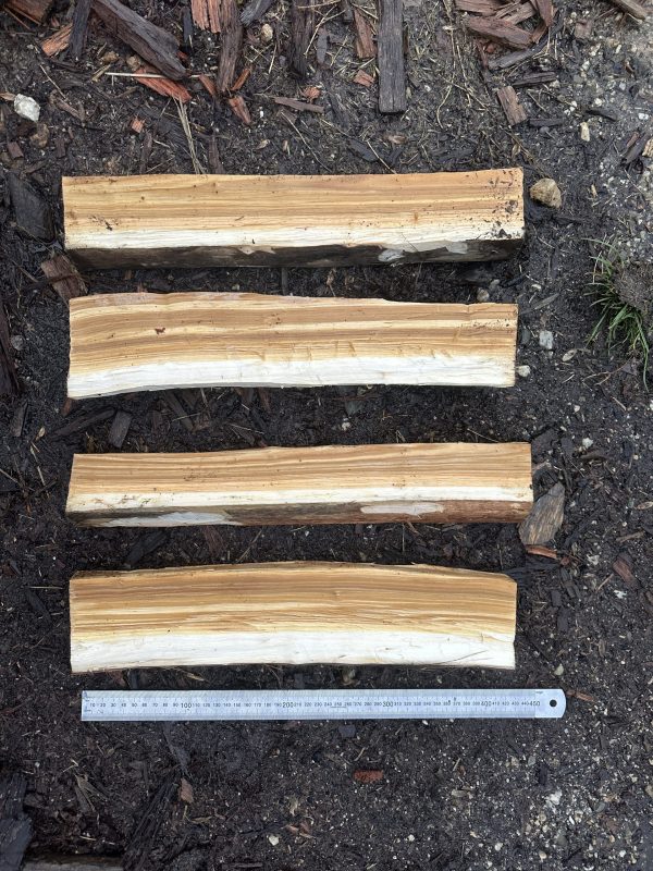 four greenwood cooking spoon billets laid out next to a 45cm ruler.