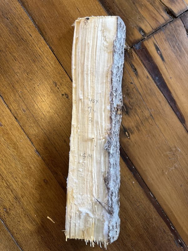 Greenwood Billet- Silver Poplar #4