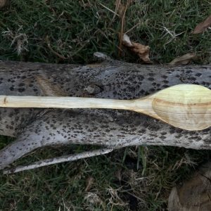 Silver Poplar Cooking Spoon