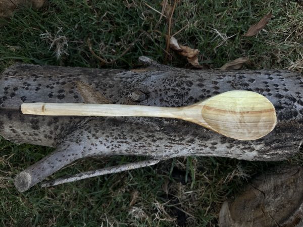 Silver Poplar Cooking Spoon