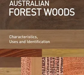 Australian Forest Woods by Morris Lake