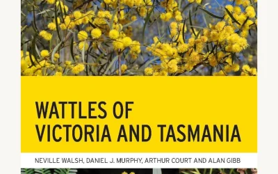 Wattles of Victoria and Tasmania
