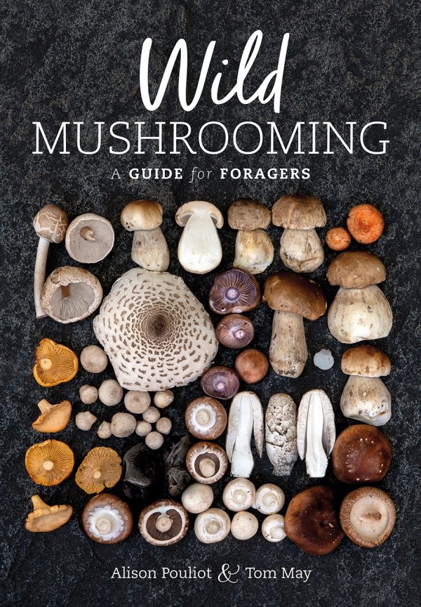 mushroom guide book by alison pouliot