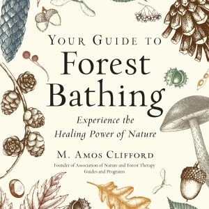 Your Guide to Forest Bathing