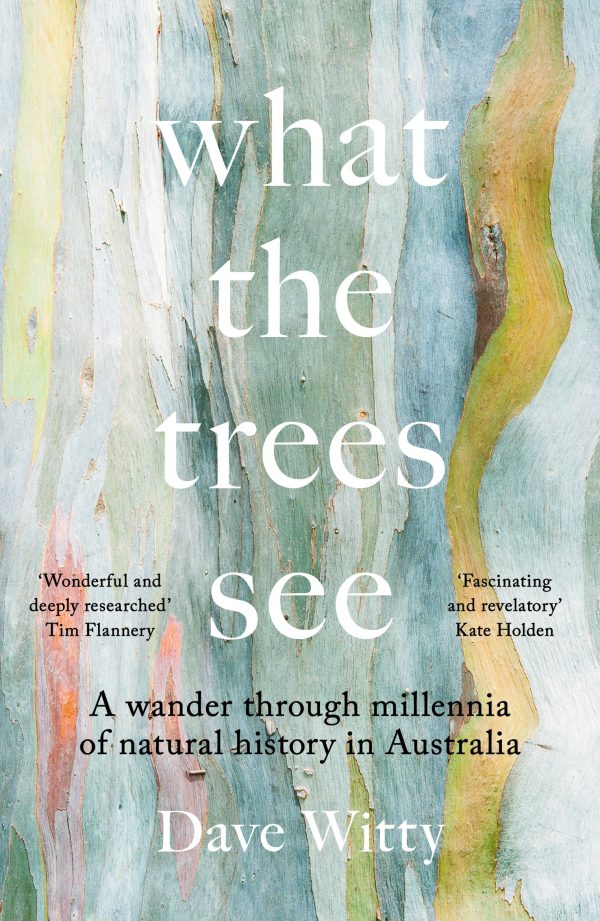 What the Trees See David Witty