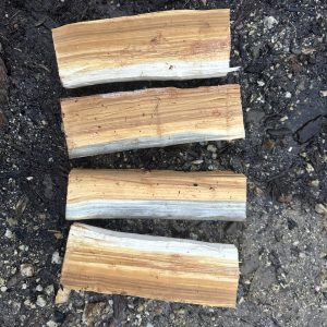 four silver poplar green wood eating spoon billets laid out on the ground.
