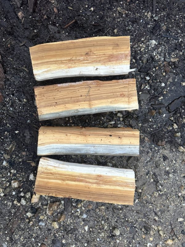 four silver poplar green wood eating spoon billets laid out on the ground.