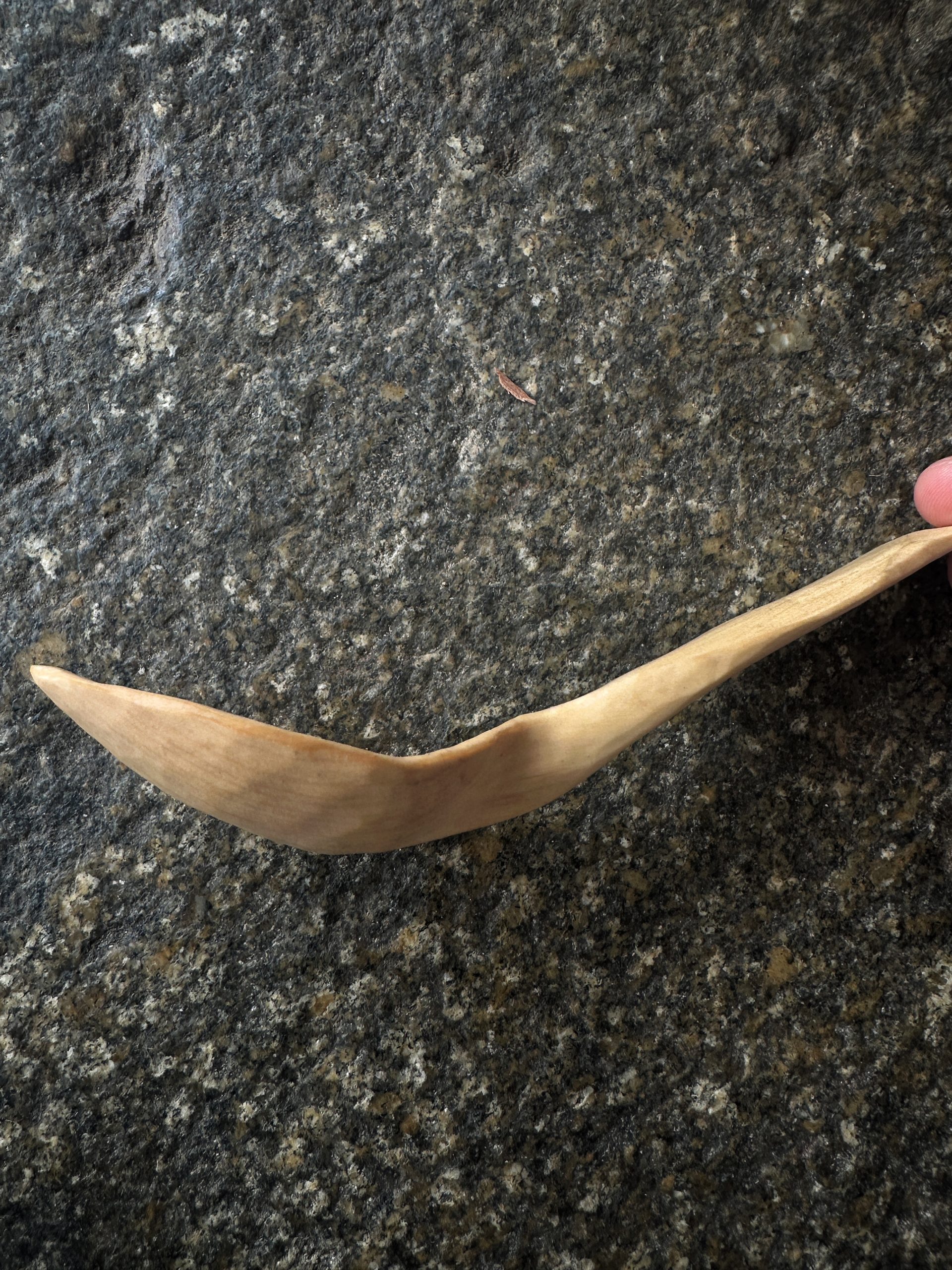 Liquidamber Swedish Spoon - Image 3