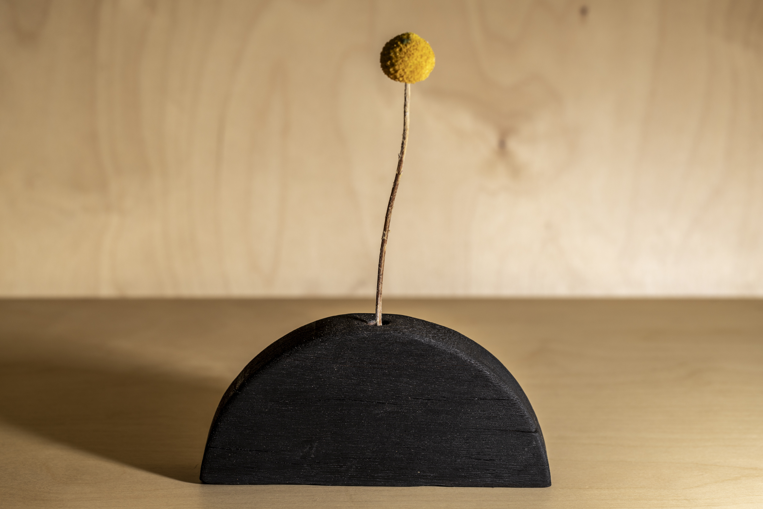 Dry Bud Vase - semi circle