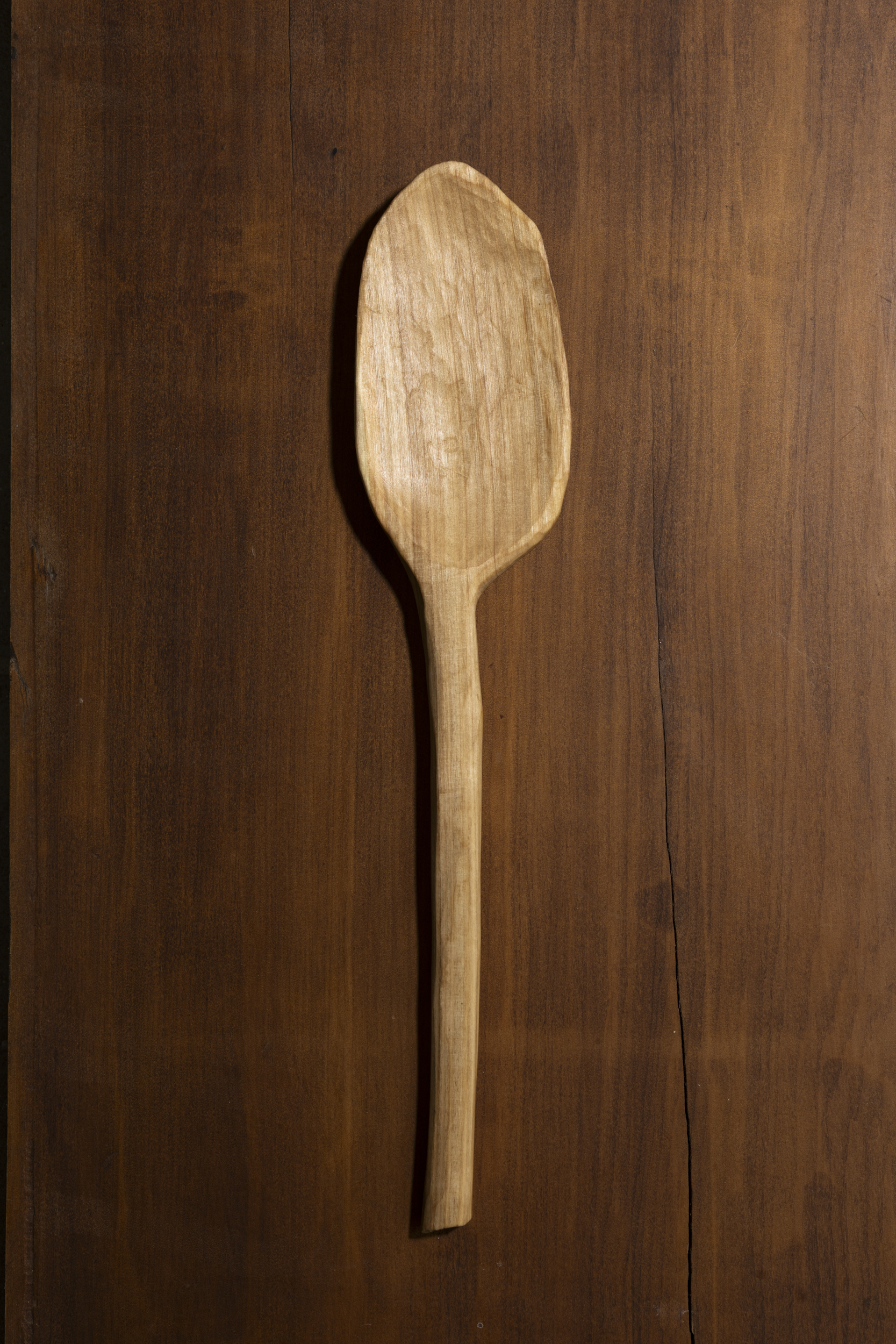 Silver Poplar Spoon