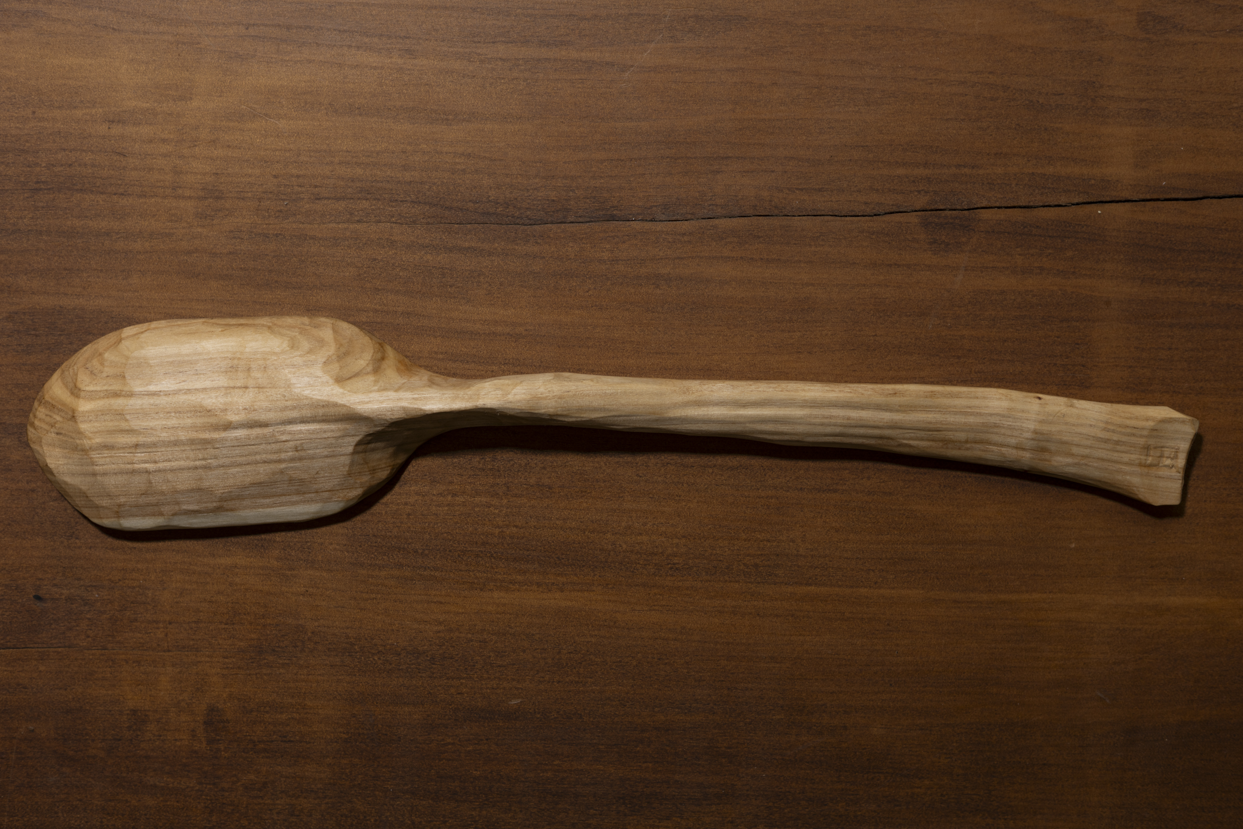 Silver Poplar Spoon - curve - Image 2