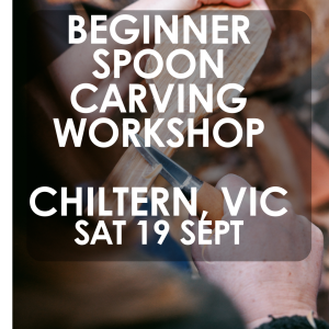 beginner spoon carving workshop chiltern